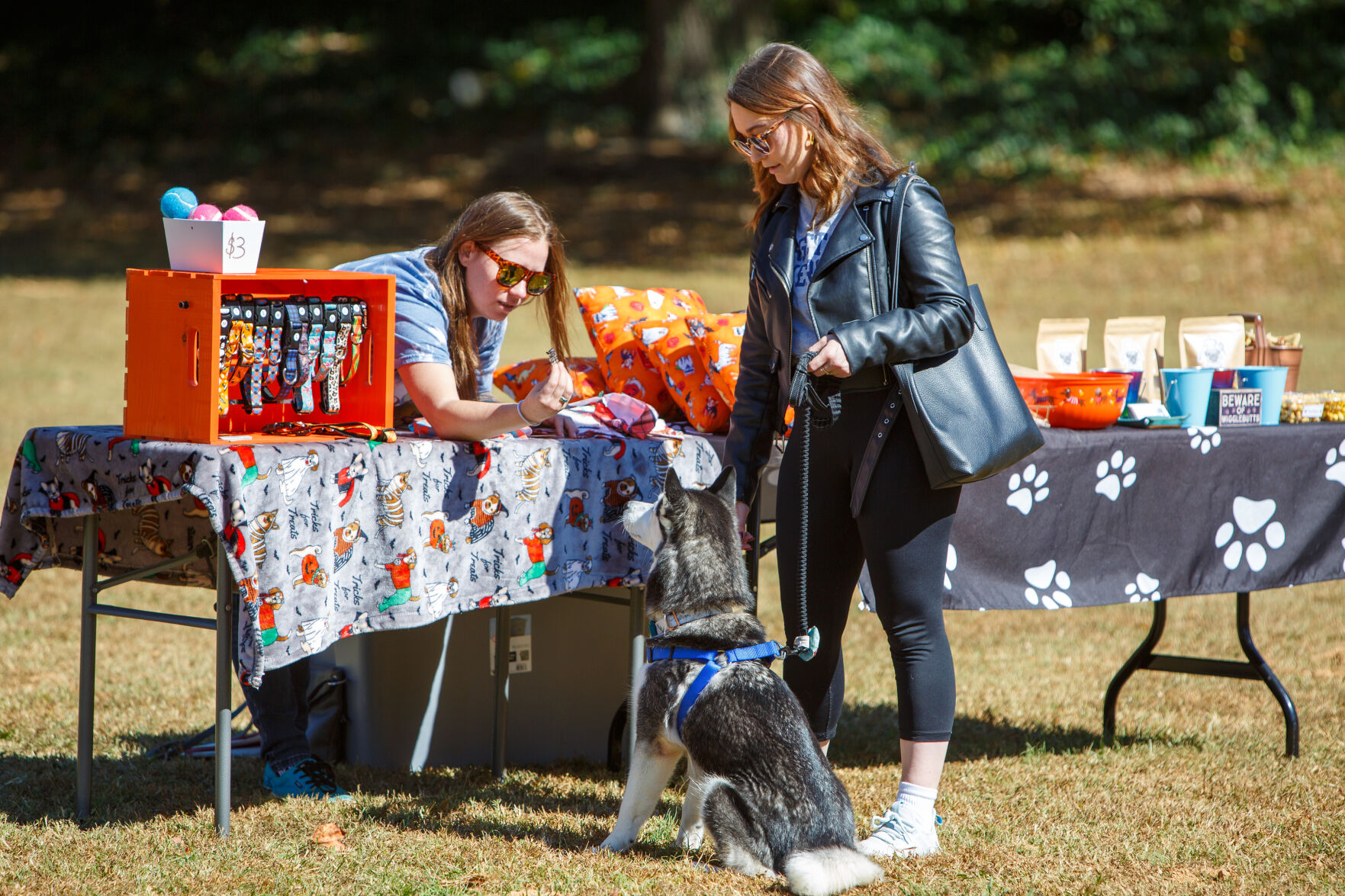 WSM Dogmore02 102322.jpg